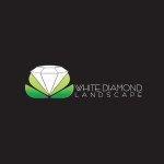 White Diamond Landscape