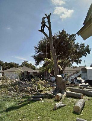 Mr Concrete & Services