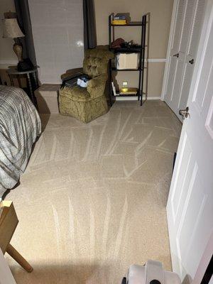 Wg Carpets and Cleaning