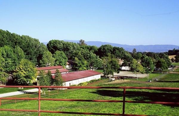 Alamo Pintado Equine Clinic