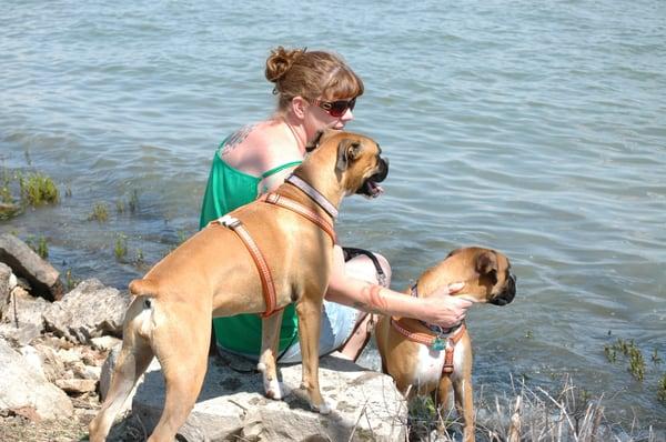 Cabins are dog friendly...Julie brought two!