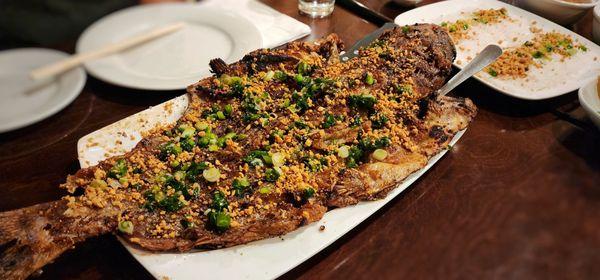 Grilled Butterflied Catfish DIY Spring Rolls (medium)