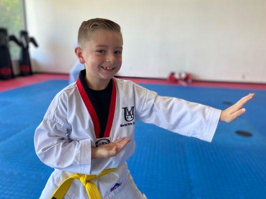 SEO's Martial Arts School
