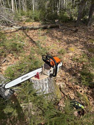 Tony's Yard Services