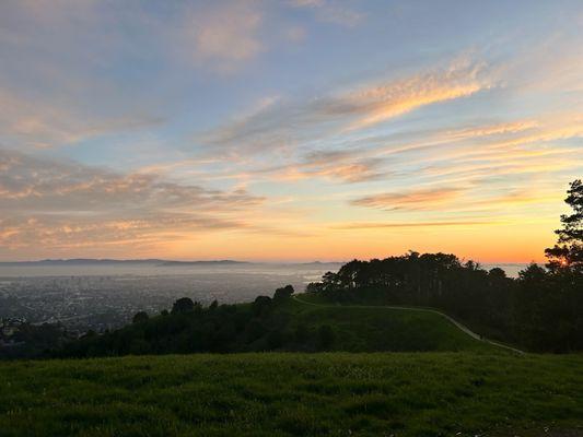Claremont Canyon Regional Preserve