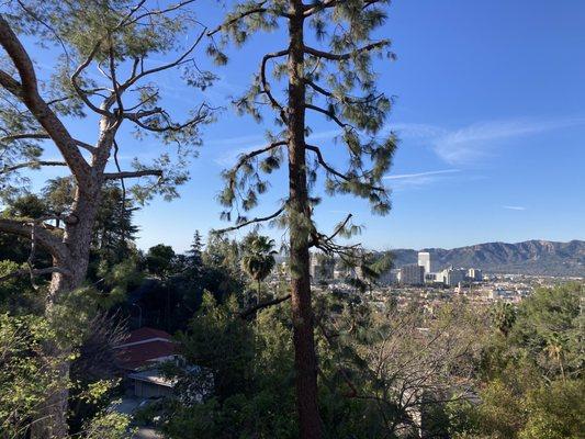 Stott's Tree Service