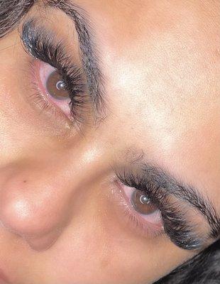 Lash’d Experience