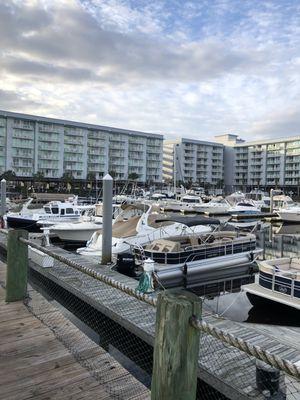 Harbourgate Resort & Marina