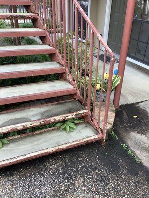 stairway with plants growing through them
