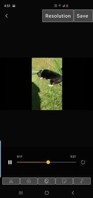 General Animal Hospital