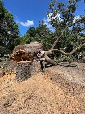 Oseguera Tree Service