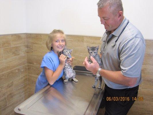Elkhorn South Veterinary Clinic