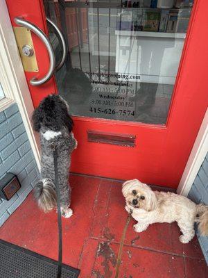 Little Ark Dog Grooming