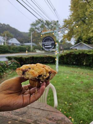 The best blueberry muffin in the world