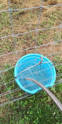 Stiffy's Well Drilling Service