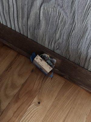 Ballard Hall Sales Group