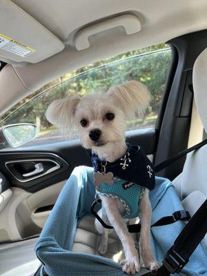 Benjamin Washington AKA Benji