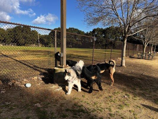 Making new friends! Hee