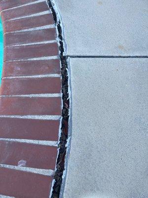 Edith Rodriguez home rental pool