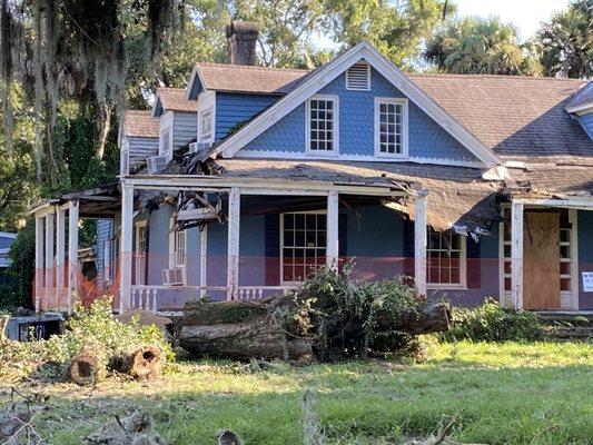 Juju’s Tree Service