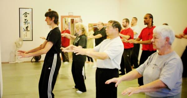Wise Orchid Taijiquan & Qigong