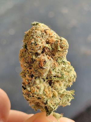 Surterra Wellness Center-Port St. Lucie