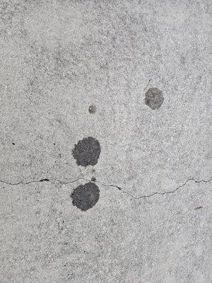 Terry Cullen Southlake Chevrolet