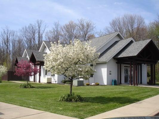 Our Best Care For Your Best Friend