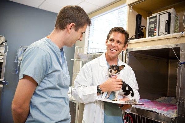 Pet Emergency & Specialty Center - Chula Vista