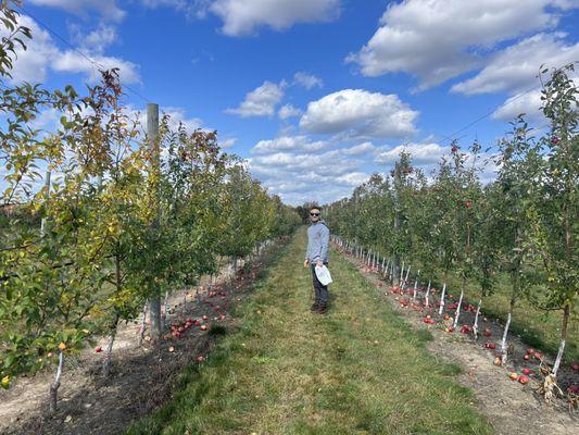 Hillside Orchard & Farm Market