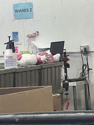 Hello kitty build a bear