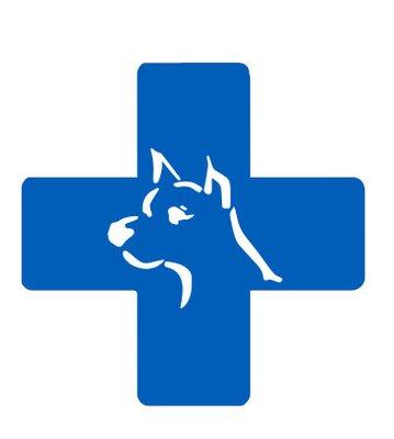 Affordable Animal Hospital
