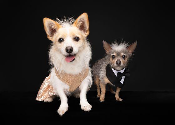 New Year's Mia Hamm and Gary