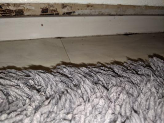 DryAgain Water, Mold and Fire Damage Restoration Services