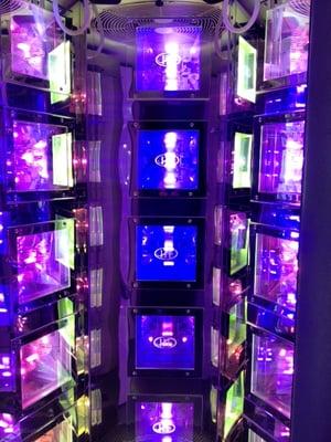 Hollywood Tans Limerick