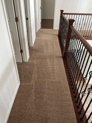 Combat Carpet And Tile Care