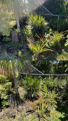 Hooulu Landscape & Yard Maintenance