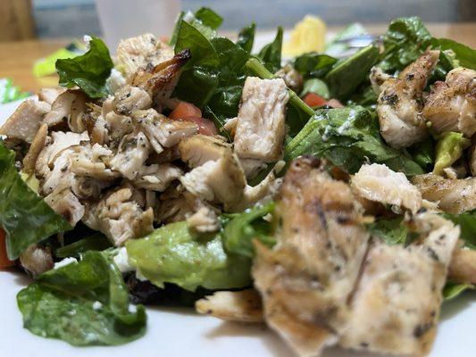 Chaser Chucken Salad / w goat cheese & cranberries ( tastes like home).