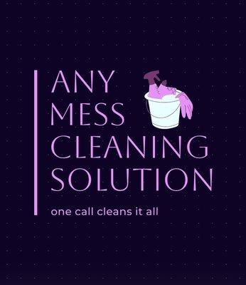 Any Mess Cleaning Solution