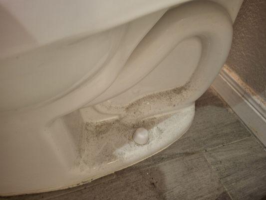 Middleton's Maid Service