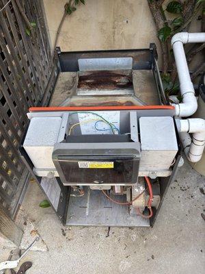 BlueRain Pool & Spa Services