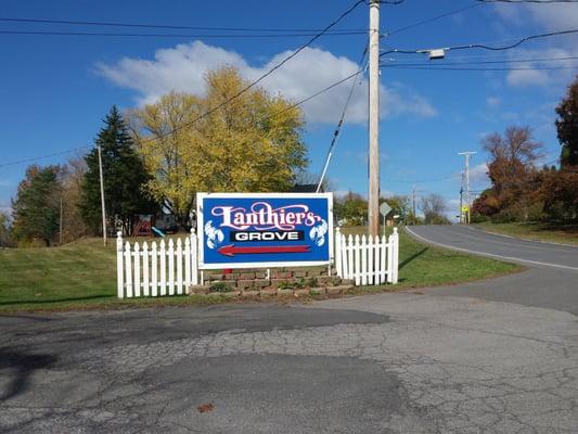 Lanthier's Grove