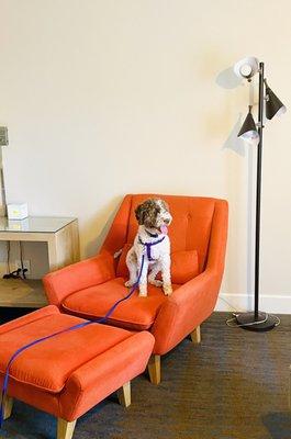 Ashland Hills Hotel & Suites