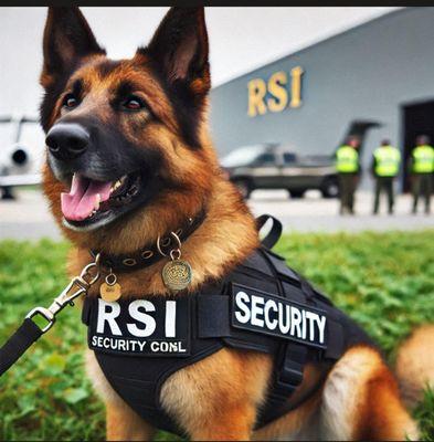 RSI Security