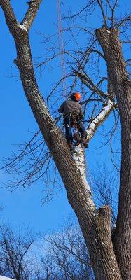 Mast Tree Service