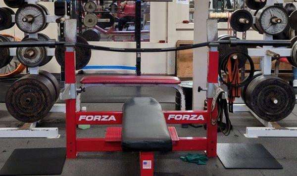 Duffalo Bar and our FORZA bench.