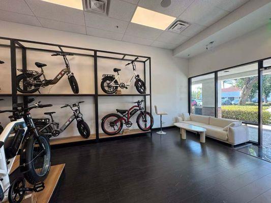 Riding 5 Electric Bikes