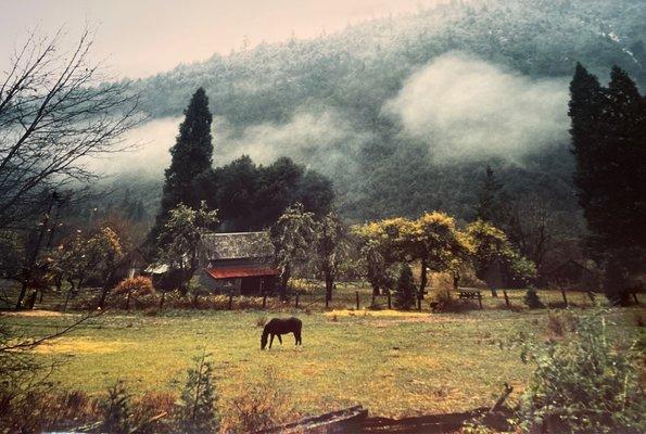 Pure Color Mike Kelly Photography