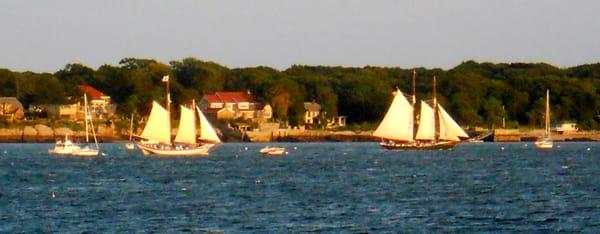 Onsite Estate Management, LLC