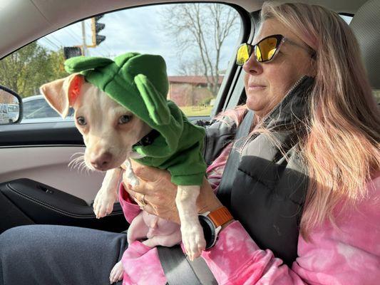 All Pets Veterinary Clinic